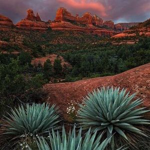 Meet your Posher, Ariana